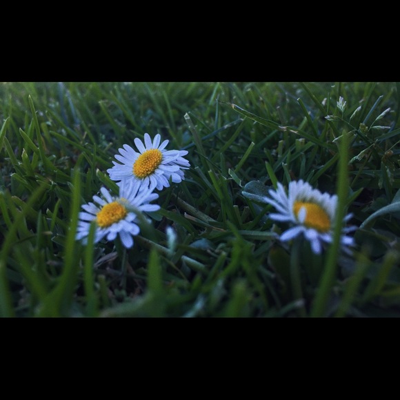 Meet your Posher, Natalie - Picture 1 of 1